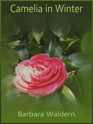 cover image of Camelia in Winter